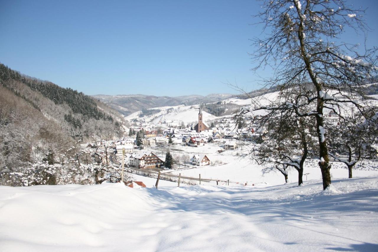 Ferienwohnung Mit Komfort Oberharmersbach Exterior photo