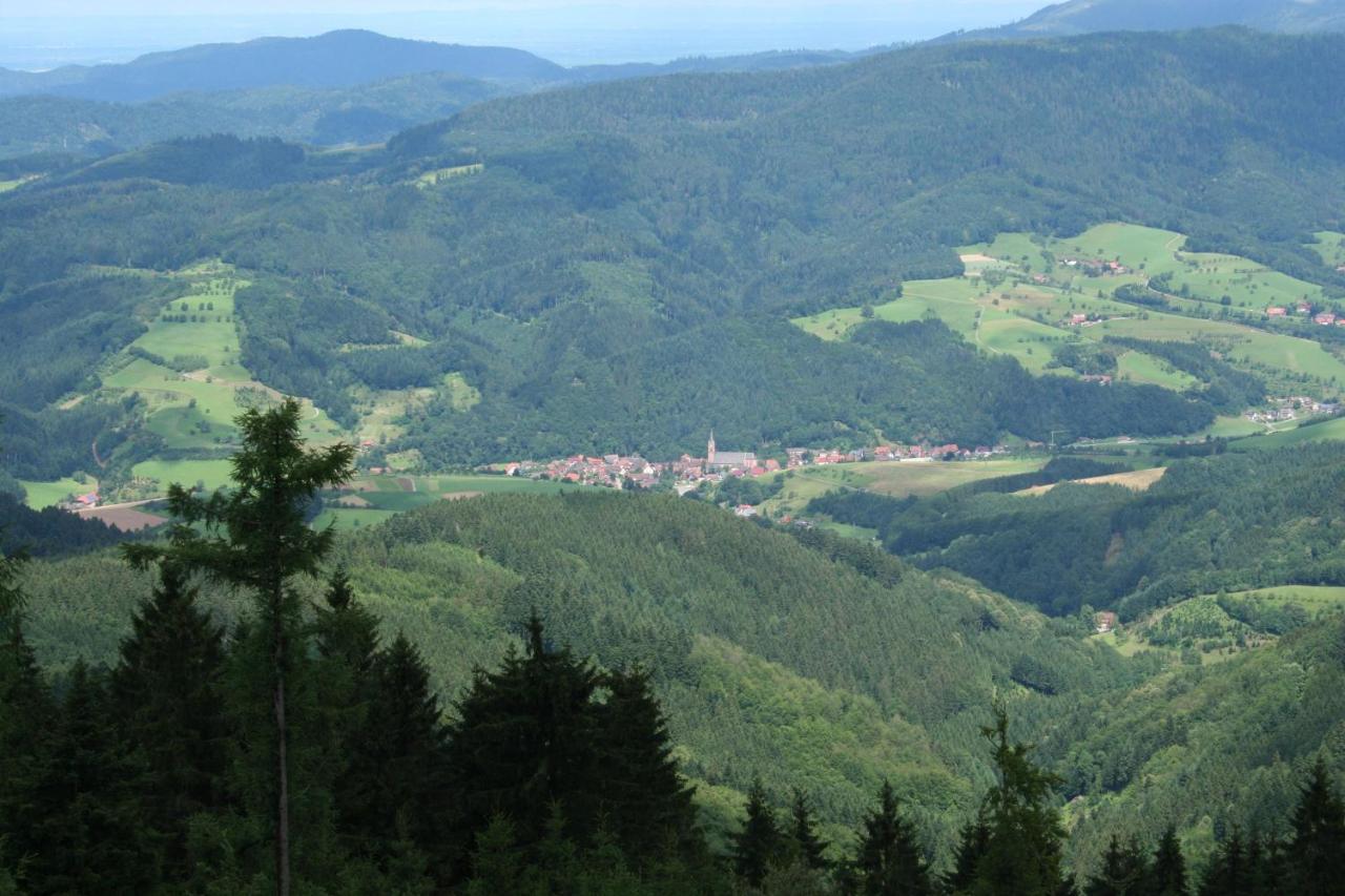 Ferienwohnung Mit Komfort Oberharmersbach Exterior photo